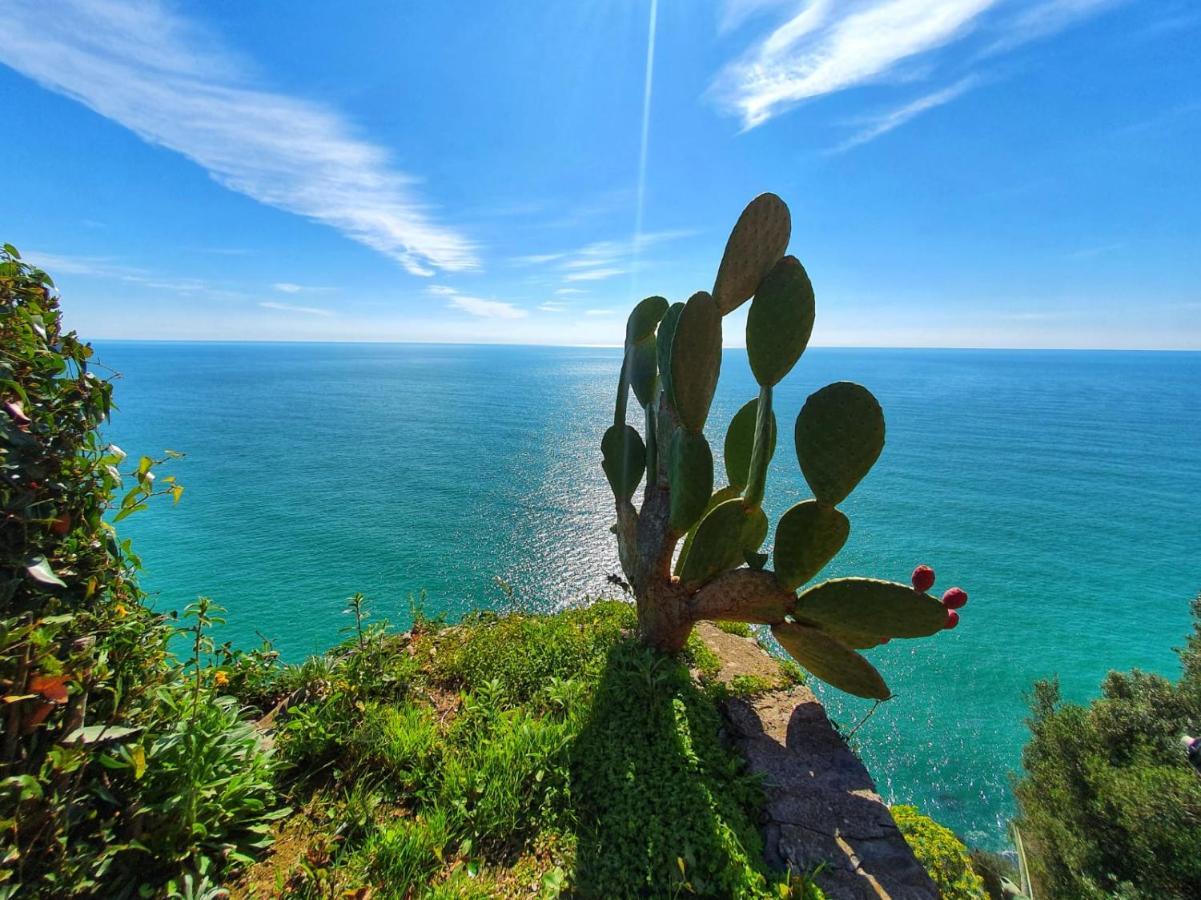 La Terrazza Sul Blu Daire Corniglia Dış mekan fotoğraf