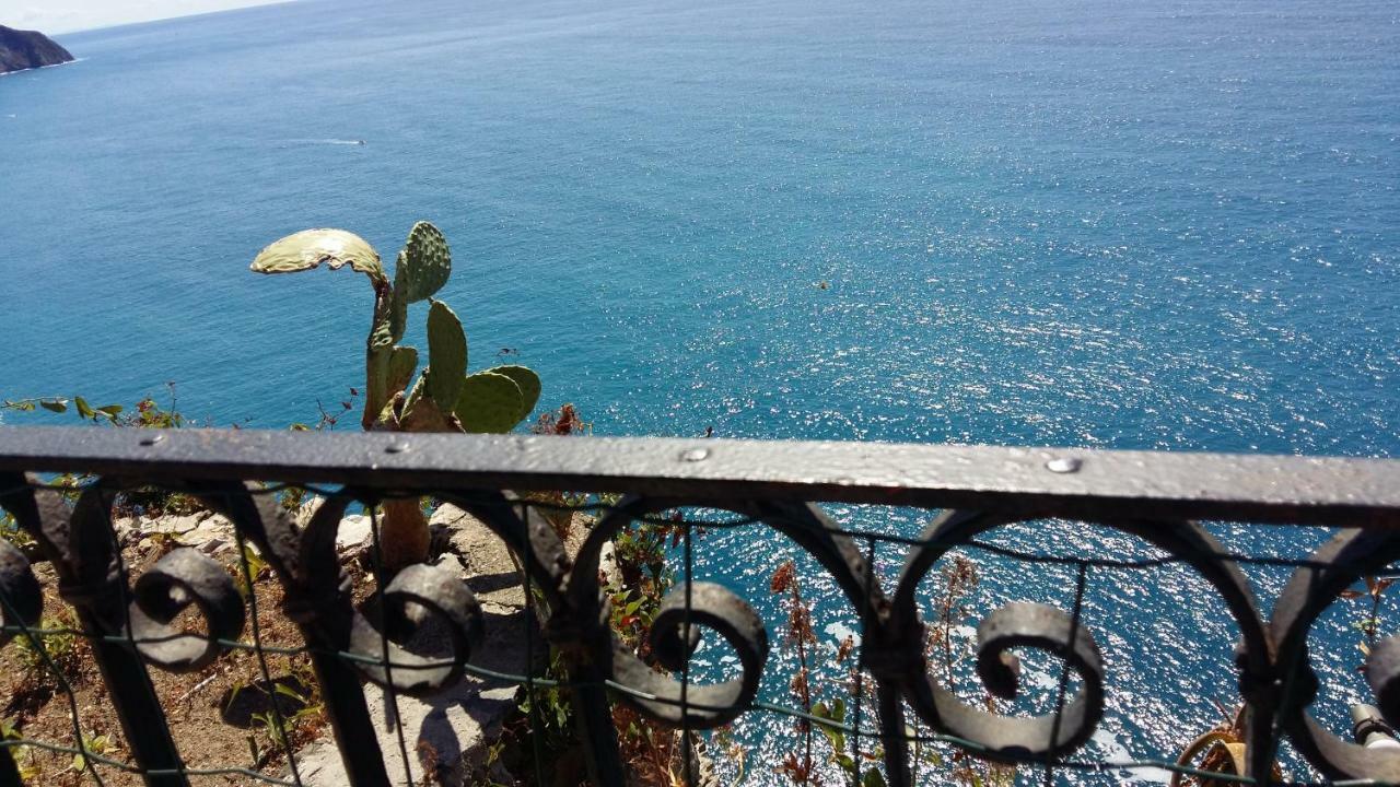 La Terrazza Sul Blu Daire Corniglia Dış mekan fotoğraf