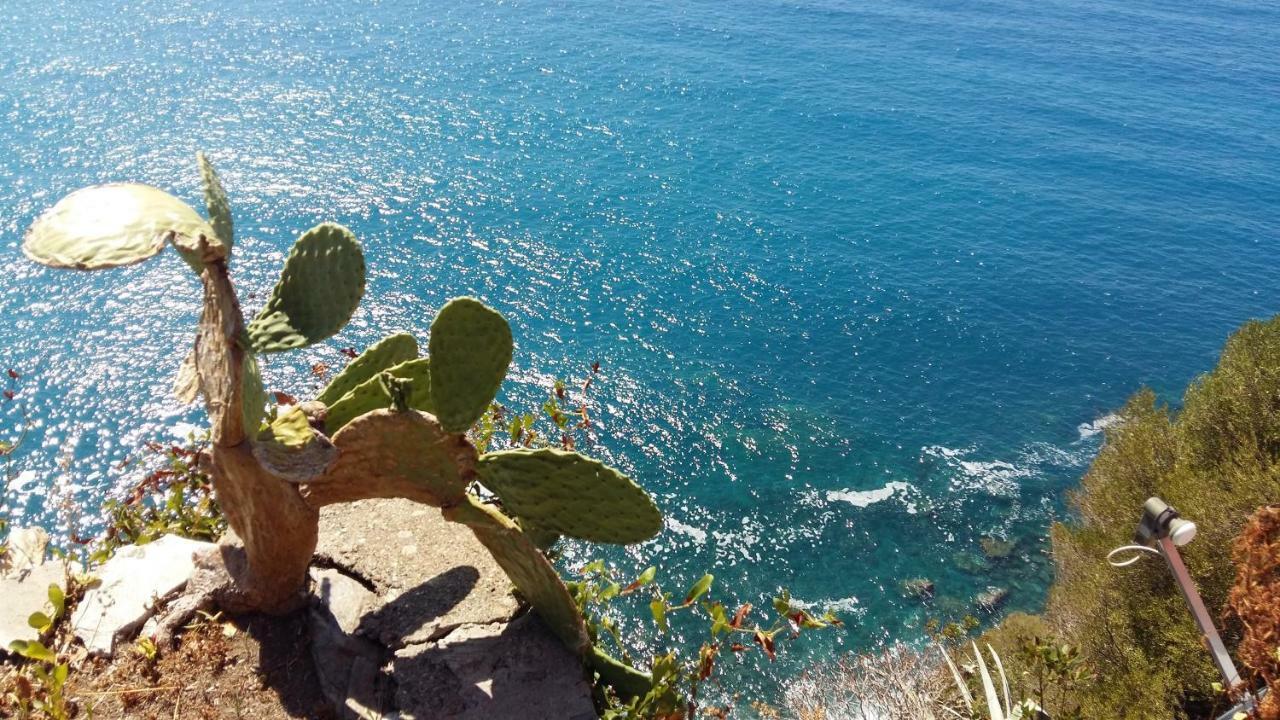 La Terrazza Sul Blu Daire Corniglia Dış mekan fotoğraf